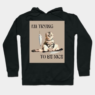I AM TRYING TO BE NICE Hoodie